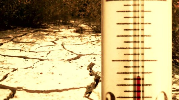 come funzionano le valvole termostatiche