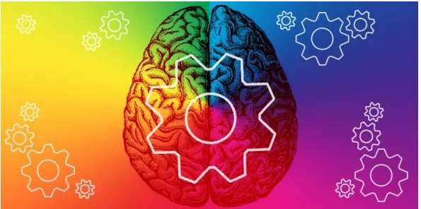 cervello e colori